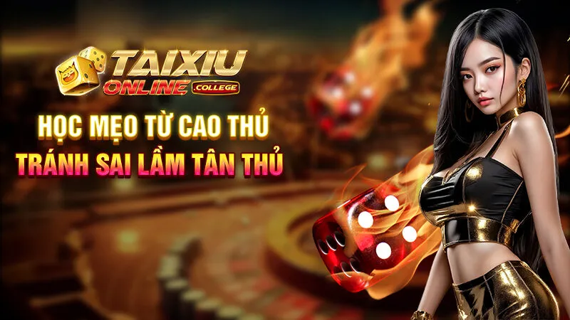 Kinh nghiệm chơi tài xỉu online thắng to từ các cao thủ Kinh nghiệm chơi tài xỉu online thắng to từ các cao thủ